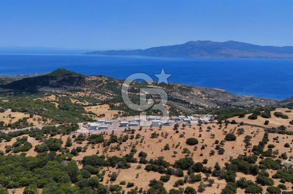 ASSOS BADEMLİ KÖYÜNDE "ASSOS MARE" SİTESİNDE SATILIK VİLLA