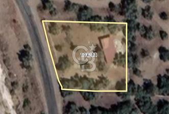 Milas Selimiye HaciAhmetlerde 1287 m2 ana yola sıfır zeytinlik elektrik aboneliği hazır  - 1 - 364834