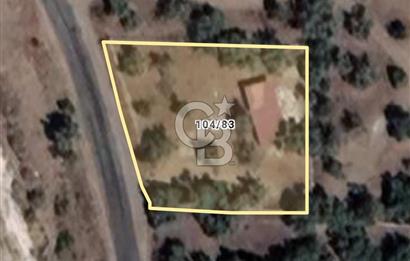 Milas Selimiye HaciAhmetlerde 1287 m2 ana yola sıfır zeytinlik elektrik aboneliği hazır 