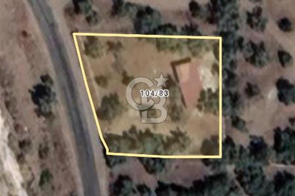 Milas Selimiye HaciAhmetlerde 1287 m2 ana yola sıfır zeytinlik elektrik aboneliği hazır 