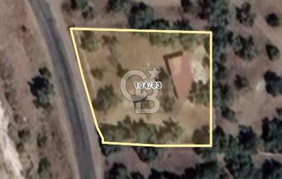 Milas Selimiye HaciAhmetlerde 1287 m2 ana yola sıfır zeytinlik elektrik aboneliği hazır 