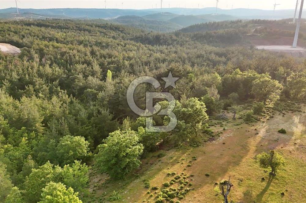 Çanakkale Merkez Karapınar'da Satılık 700.000 TL Tarla