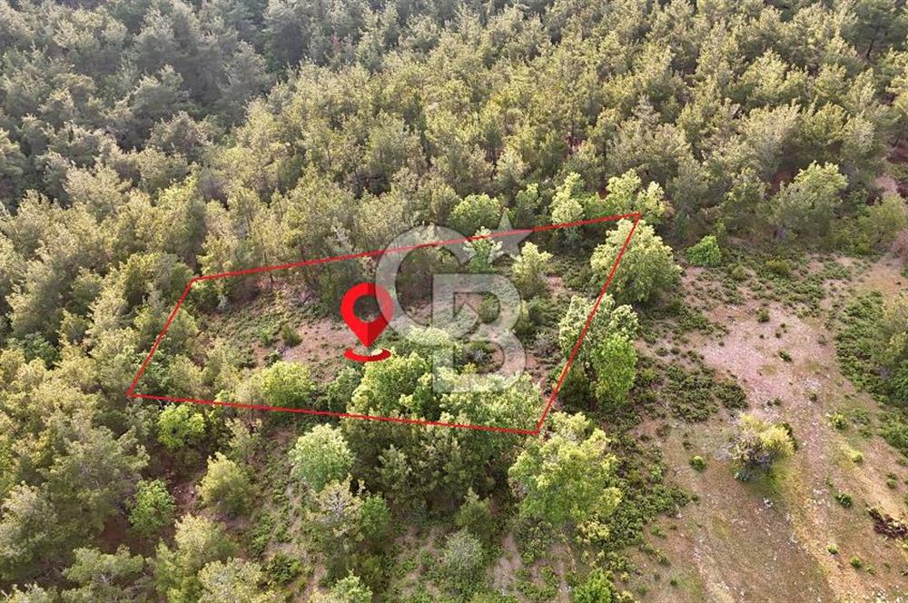 Çanakkale Merkez Karapınar'da Satılık 700.000 TL Tarla