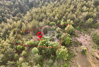 Çanakkale Merkez Karapınar'da Satılık 700.000 TL Tarla - 9 - 364544