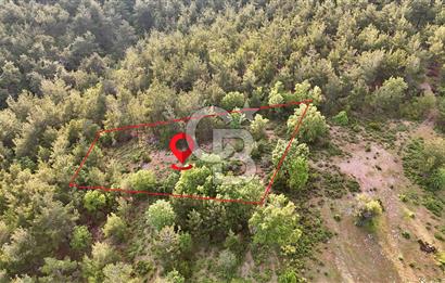 Çanakkale Merkez Karapınar'da Satılık 700.000 TL Tarla
