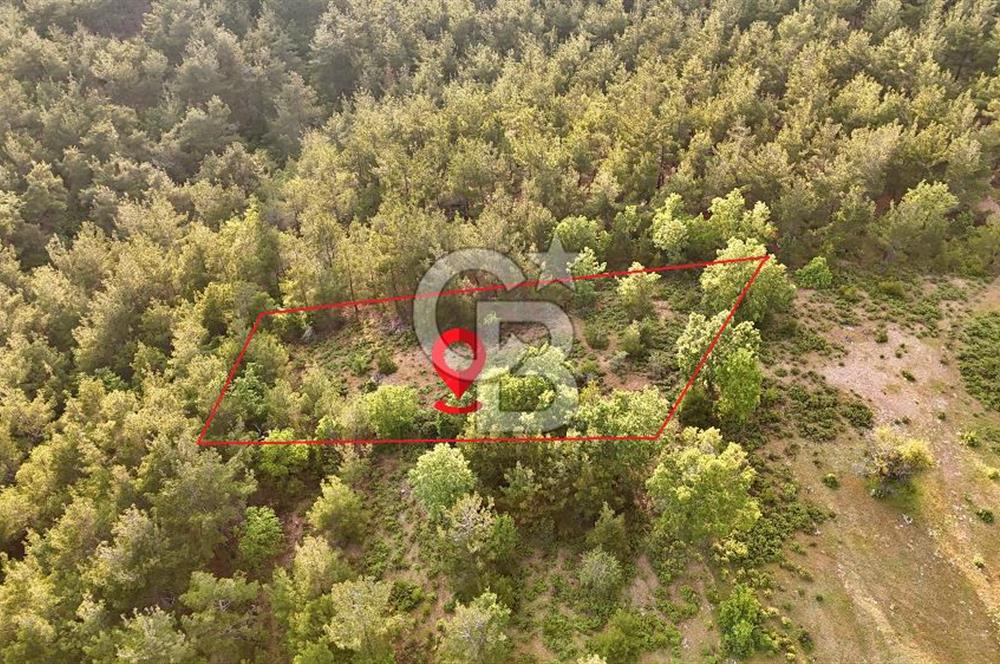 Çanakkale Merkez Karapınar'da Satılık 700.000 TL Tarla