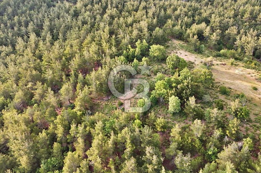 Çanakkale Merkez Karapınar'da Satılık 700.000 TL Tarla
