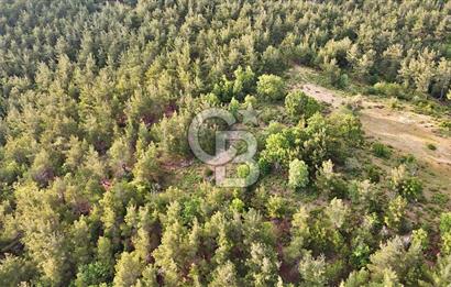 Çanakkale Merkez Karapınar'da Satılık 700.000 TL Tarla