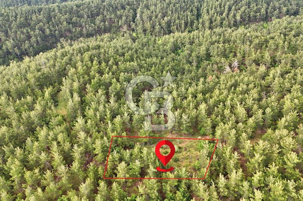 Çanakkale Merkez Karapınar Satılık 400.000 TL Tarla