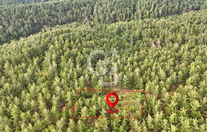 Çanakkale Merkez Karapınar Satılık 400.000 TL Tarla