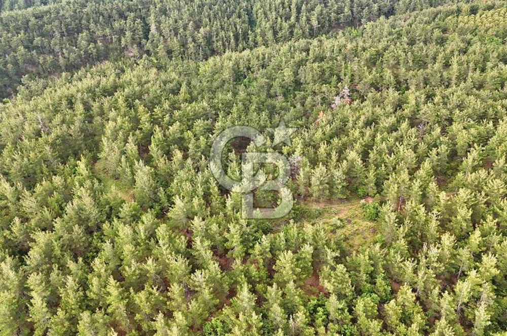 Çanakkale Merkez Karapınar Satılık 400.000 TL Tarla