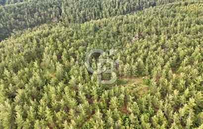 Çanakkale Merkez Karapınar Satılık 400.000 TL Tarla