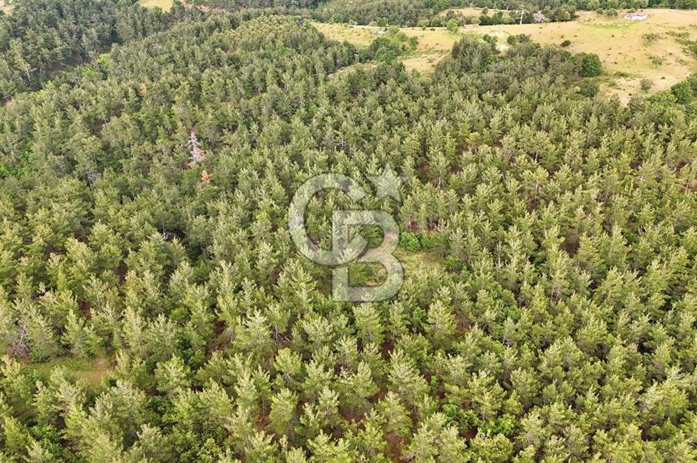 Çanakkale Merkez Karapınar Satılık 400.000 TL Tarla