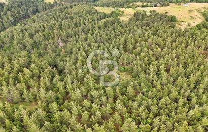 Çanakkale Merkez Karapınar Satılık 400.000 TL Tarla