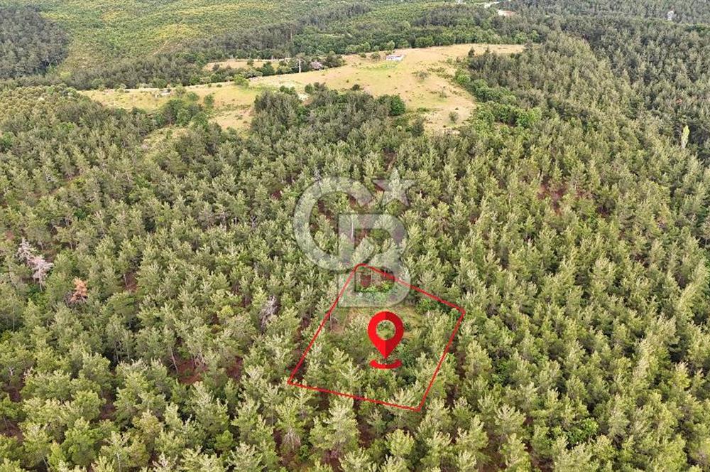 Çanakkale Merkez Karapınar Satılık 400.000 TL Tarla