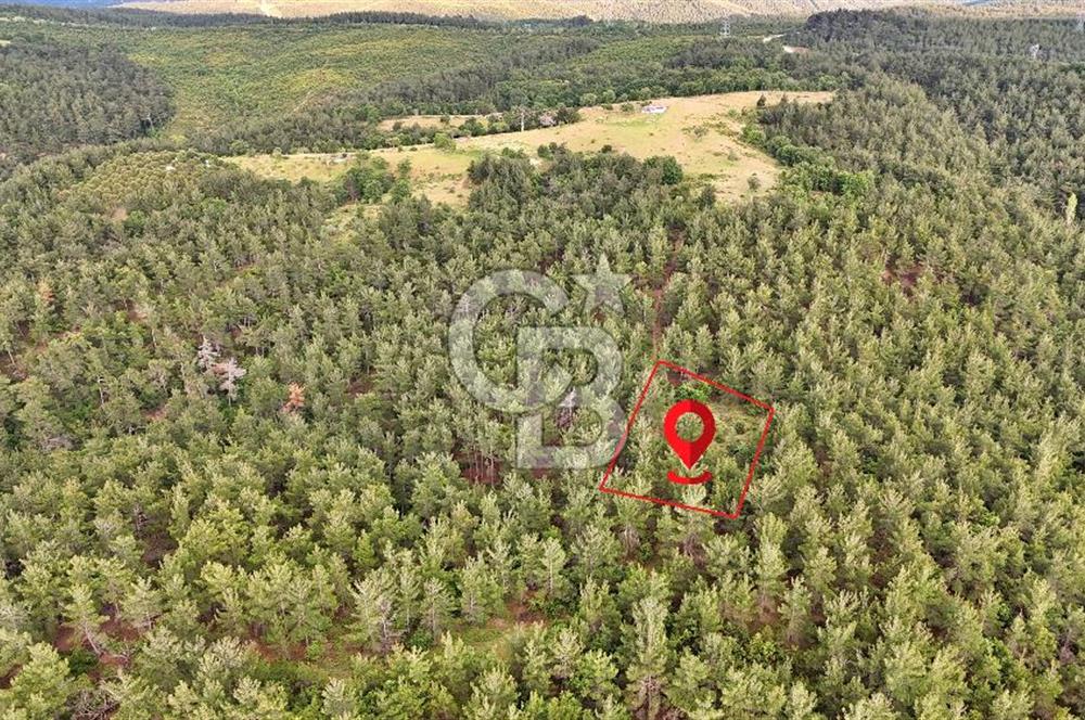 Çanakkale Merkez Karapınar Satılık 400.000 TL Tarla