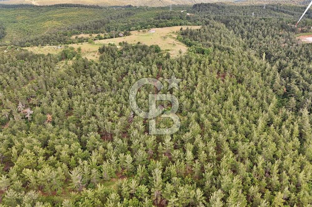 Çanakkale Merkez Karapınar Satılık 400.000 TL Tarla