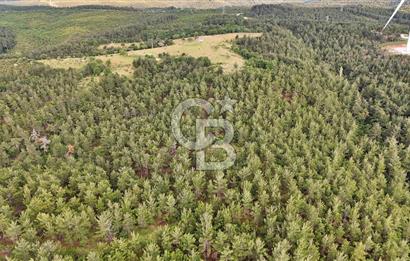 Çanakkale Merkez Karapınar Satılık 400.000 TL Tarla