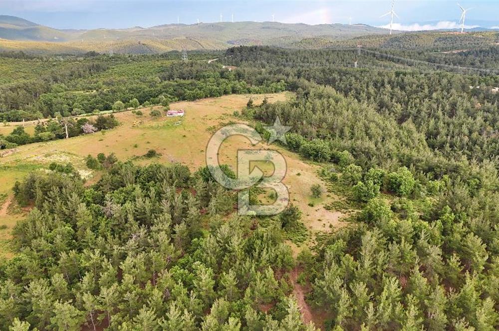 Çanakkale Merkez Karapınar'da Satılık 700.000 TL Tarla