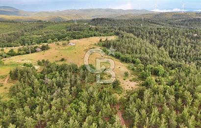 Çanakkale Merkez Karapınar'da Satılık 700.000 TL Tarla