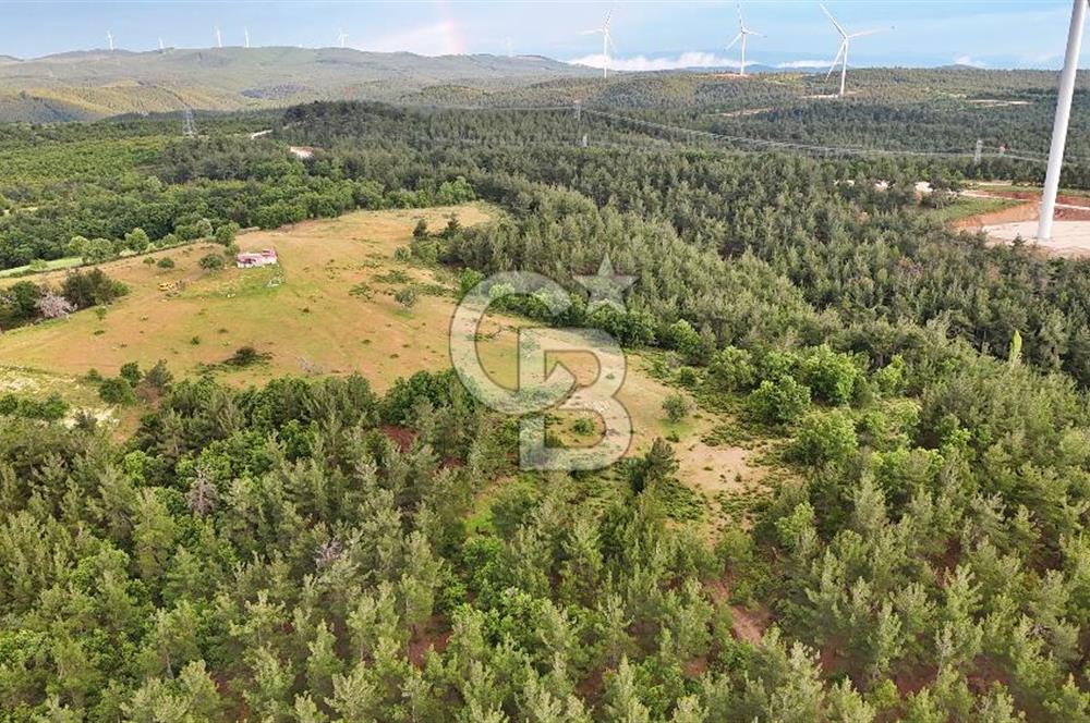 Çanakkale Merkez Karapınar'da Satılık 700.000 TL Tarla