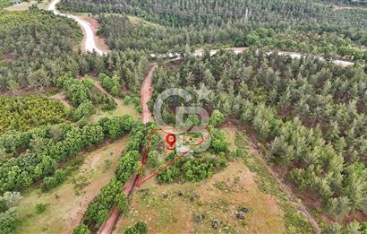 Çanakkale Merkez Karapınar'da Satılık 600.000 TL Tarla