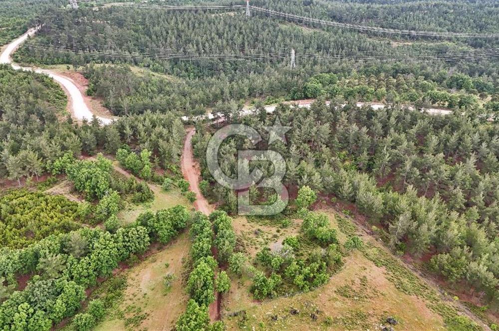 Çanakkale Merkez Karapınar'da Satılık 600.000 TL Tarla