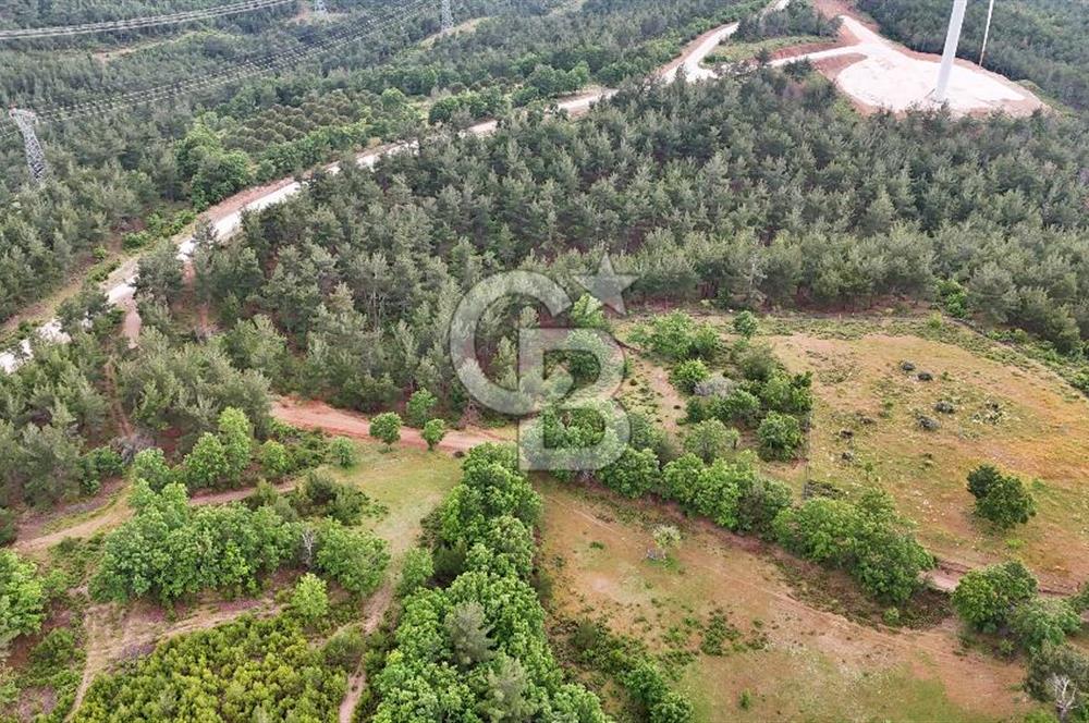 Çanakkale Merkez Karapınar'da Satılık 600.000 TL Tarla