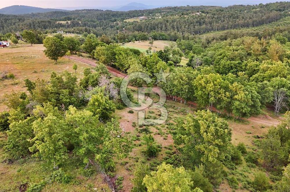 Çanakkale Merkez Karapınar'da Satılık 600.000 TL Tarla