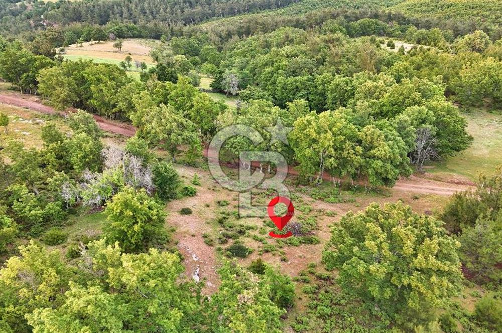 Çanakkale Merkez Karapınar'da Satılık 600.000 TL Tarla