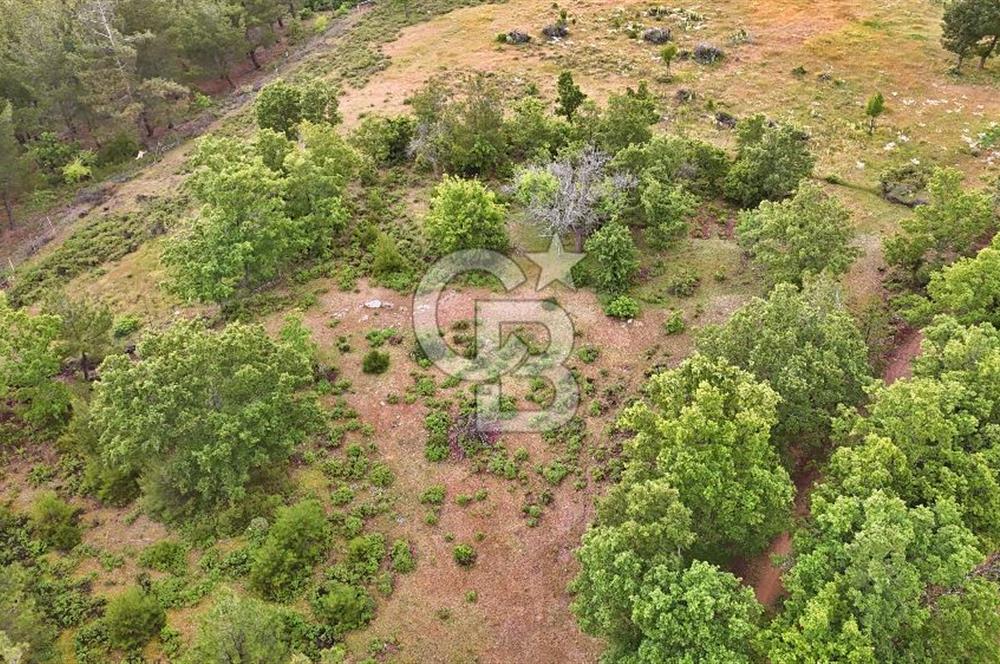 Çanakkale Merkez Karapınar'da Satılık 600.000 TL Tarla