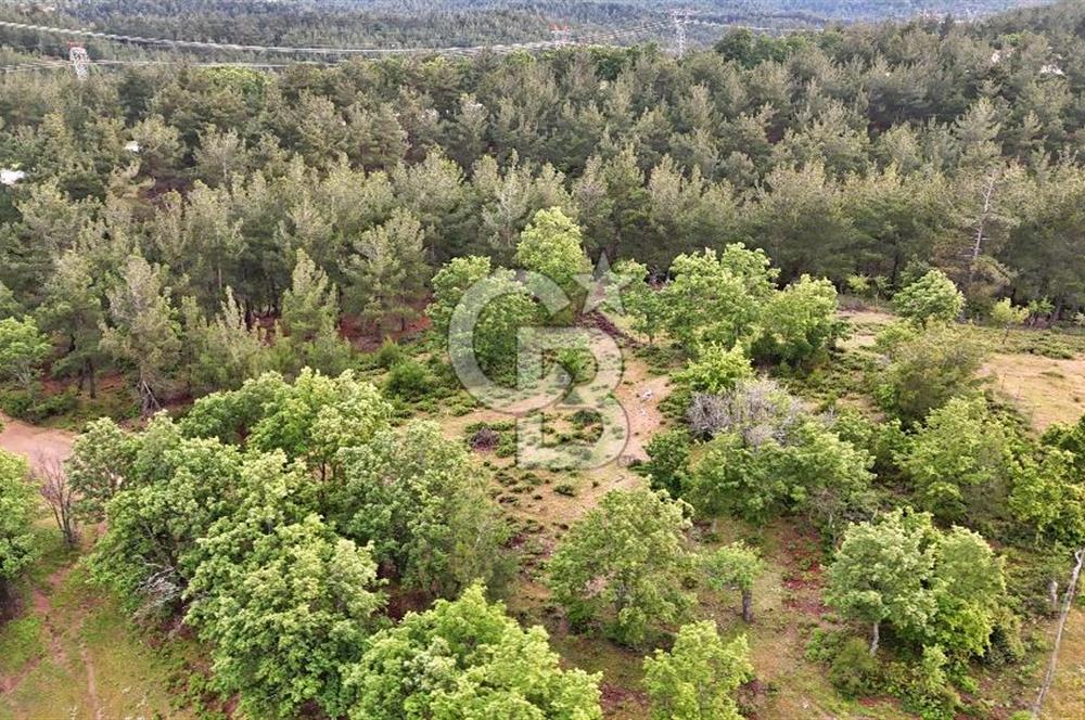 Çanakkale Merkez Karapınar'da Satılık 600.000 TL Tarla