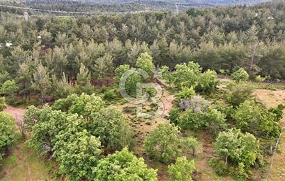 Çanakkale Merkez Karapınar'da Satılık 600.000 TL Tarla