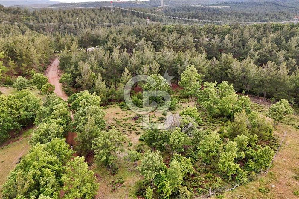 Çanakkale Merkez Karapınar'da Satılık 600.000 TL Tarla