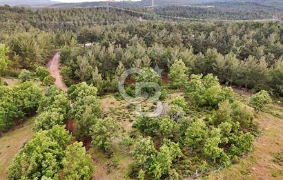 Çanakkale Merkez Karapınar'da Satılık 600.000 TL Tarla