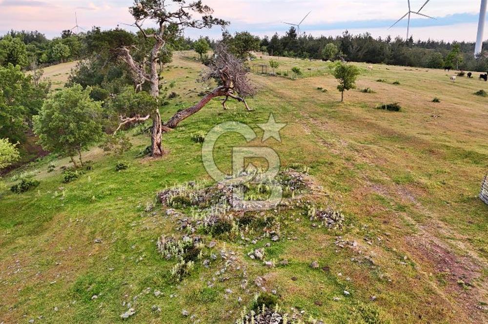 Çanakkale Merkez Karapınar'da Satılık Konut İmarlı Tarla