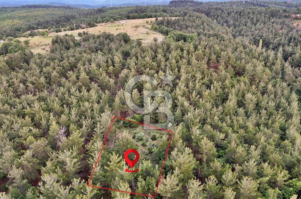 Çanakkale Merkez Karapınar Satılık 400.000 TL Tarla