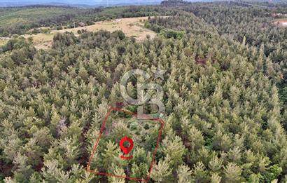 Çanakkale Merkez Karapınar Satılık 400.000 TL Tarla