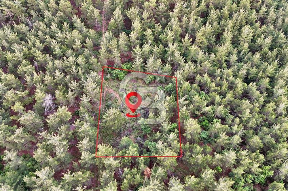 Çanakkale Merkez Karapınar Satılık 400.000 TL Tarla