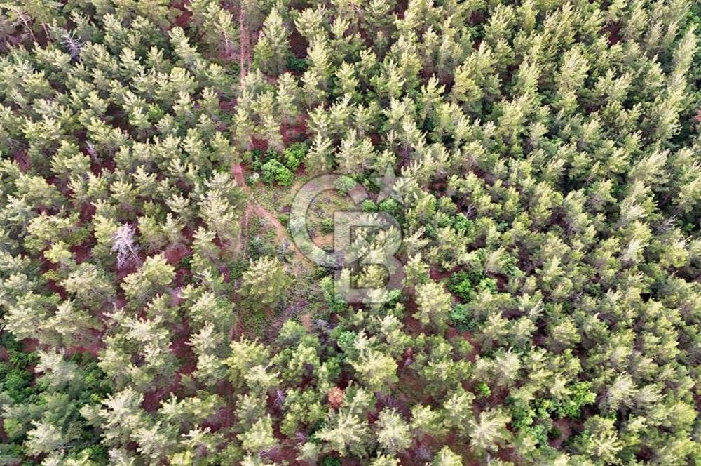 Çanakkale Merkez Karapınar Satılık 400.000 TL Tarla