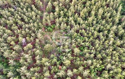 Çanakkale Merkez Karapınar Satılık 400.000 TL Tarla