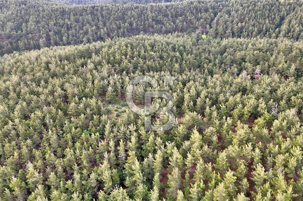Çanakkale Merkez Karapınar Satılık 400.000 TL Tarla