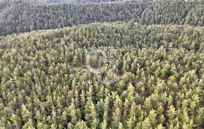Çanakkale Merkez Karapınar Satılık 400.000 TL Tarla