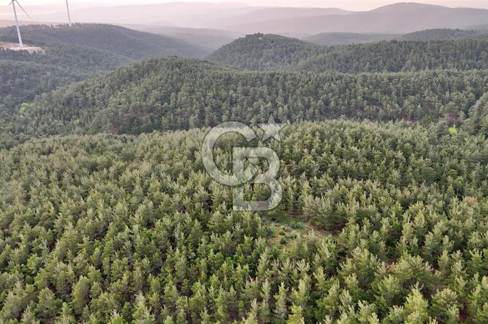 Çanakkale Merkez Karapınar Satılık 400.000 TL Tarla
