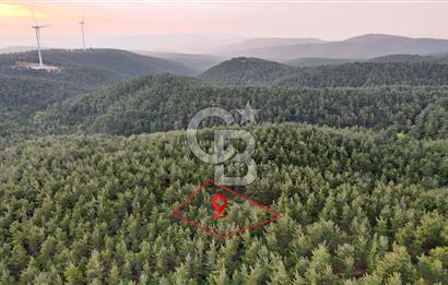 Çanakkale Merkez Karapınar Satılık 400.000 TL Tarla