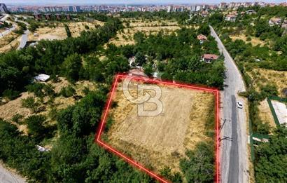 COLDWELL BANKER SAFİR'den TECDE de YOLA CEPHELİ KİRALIK ARSA