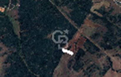 GEBZE BALÇIK'TA 7.967 m2 DEPOLAMA ALANI İMARLI YATIRIMLIK ARSA