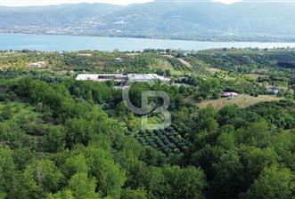 CB ENVOYDAN Kartepe Ormanya Yakını Yatırımlık Tarla - 2 - 364881