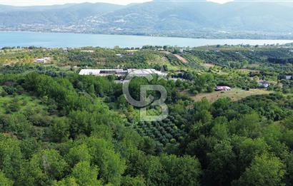 CB ENVOYDAN Kartepe Ormanya Yakını Yatırımlık Tarla