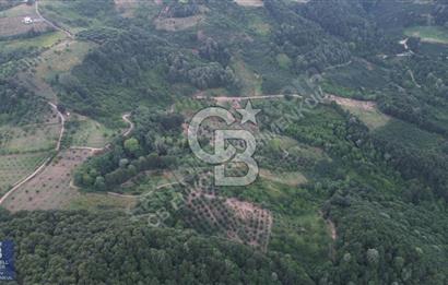 CB ENVOY'DAN KARTEPE EŞME'DE 3117 M2 SATILIK TARLA